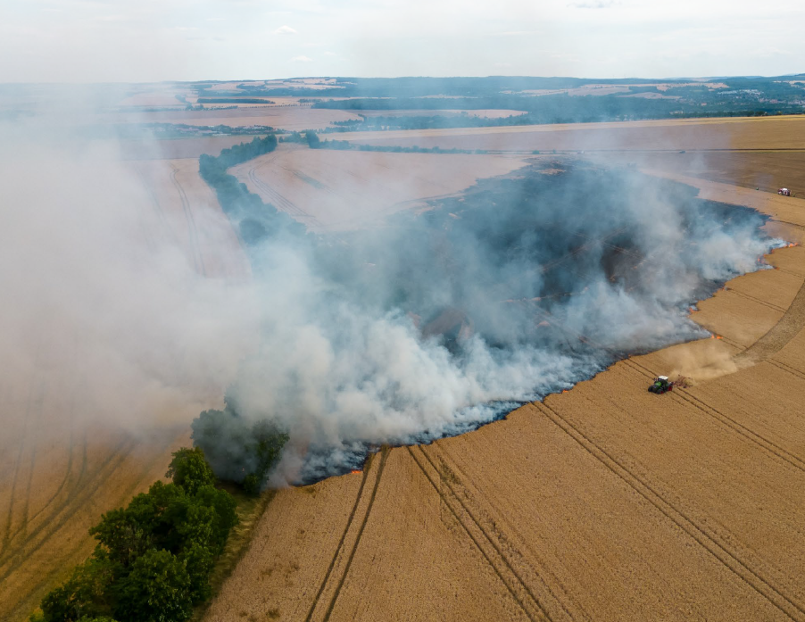 Frais professionnels vs avantages en nature : les différences