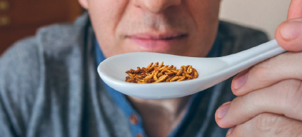 Nourrir demain : innovations alimentaires et enjeux pour les filières agricoles