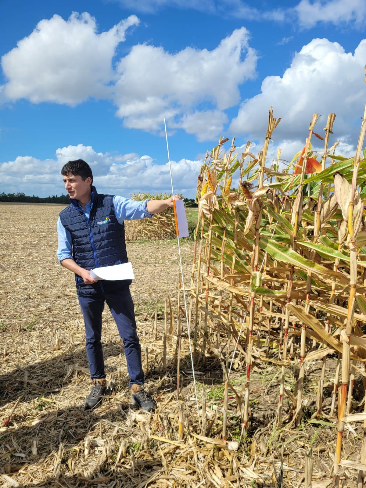 Conseil Agronomique